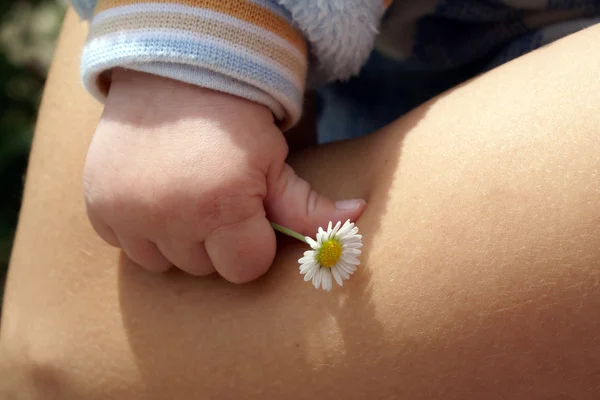 Дитина з квіткою — стокове фото