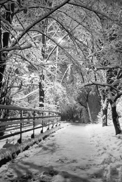 Pokryte śniegiem ulicy — Zdjęcie stockowe