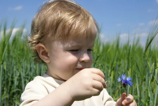 Мальчик с цветочком — стоковое фото