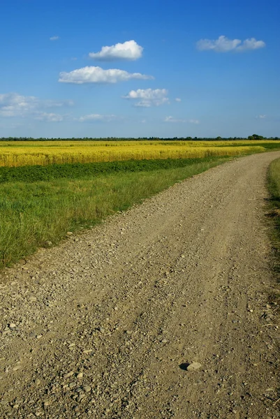 stock image Rural road