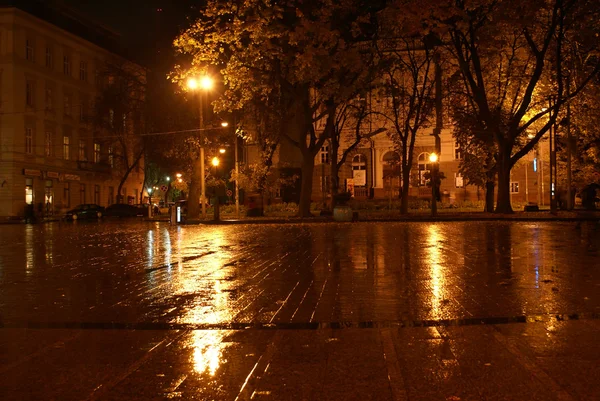 stock image Night Lvov