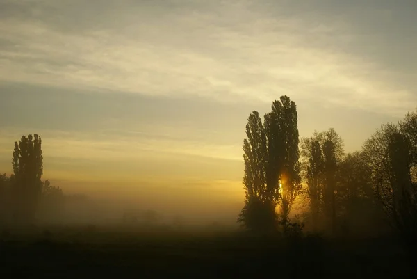 stock image Foggy morning