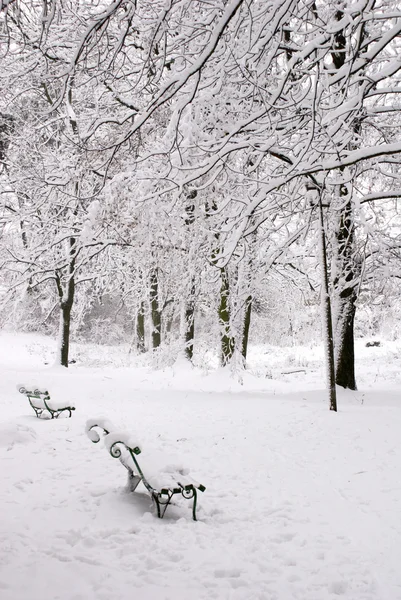 Snow-covered park — Stock Photo, Image