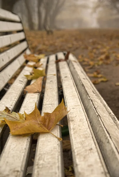 Stock image Bench in the park