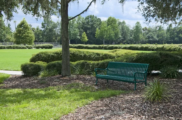 stock image Green Bench