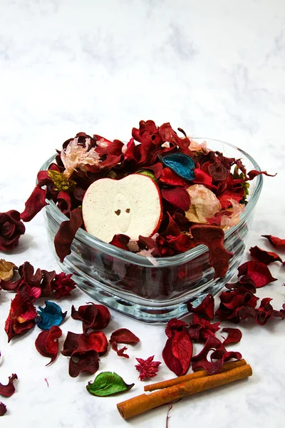 Close up on dried leaves and rose — Stock Photo, Image