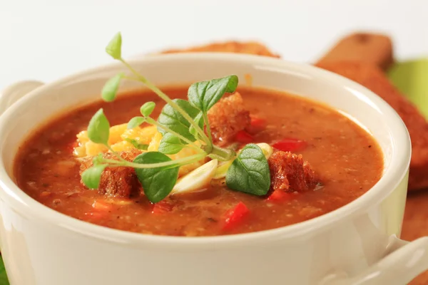 Goulash soup — Stock Photo, Image