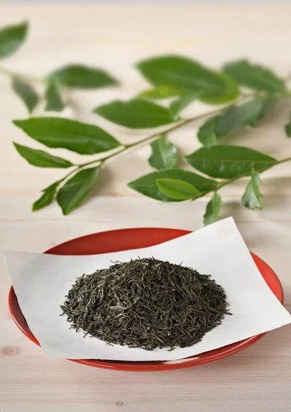 Сушені чайного листя — стокове фото