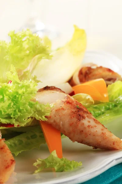 닭고기와 야채 샐러드 — 스톡 사진