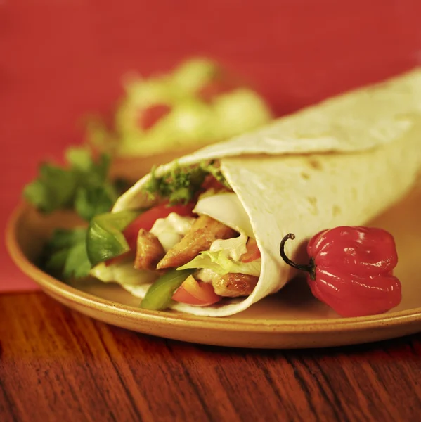 Tortilla Wrap — Stock Photo, Image