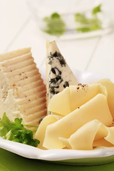 Selection of cheeses — Stock Photo, Image