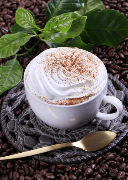Secangkir cappuccino — Stok Foto