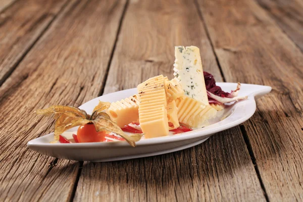 チーズ前菜 — ストック写真