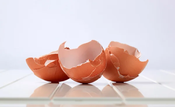 Gusci d'uovo vuoti — Foto Stock