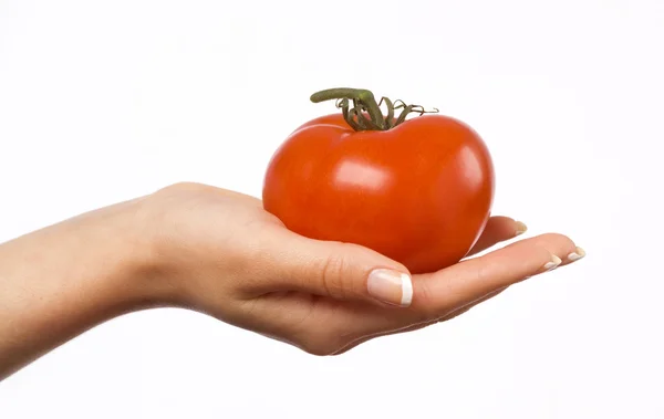 Χέρι της γυναίκας που κρατά μια κόκκινη ντομάτα — Φωτογραφία Αρχείου