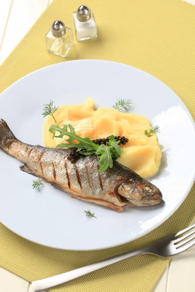 Grilled trout and mashed potato — Stock Photo, Image