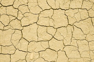 Cracks in dry soil clipart