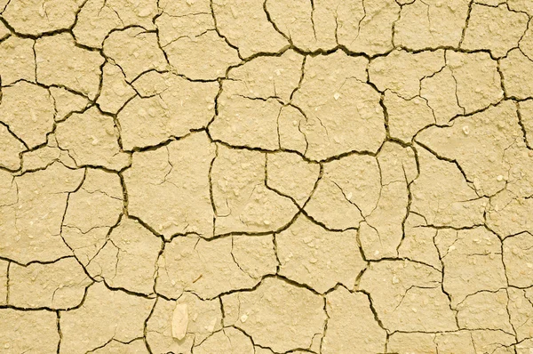 Rachaduras no solo seco — Fotografia de Stock