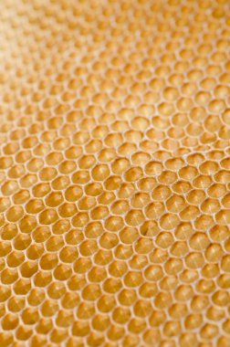 Honeycomb clipart