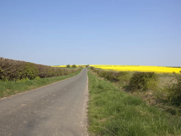 English country road — Stock Photo, Image