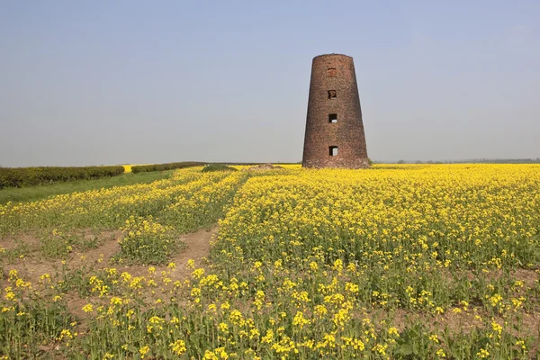 stock image Old windmill