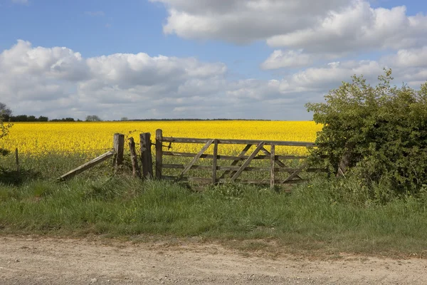 stock image Old field gate