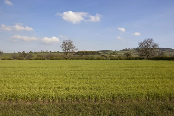 Jarní anglická krajina — Stock fotografie