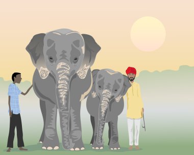 Indian elephants clipart