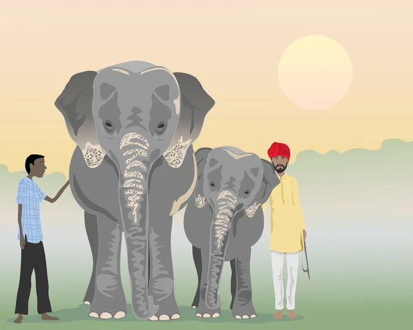 Indische olifanten — Stockvector