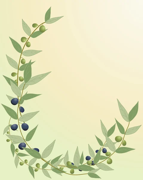 Frontera de rama de olivo — Vector de stock
