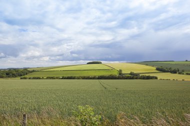 Wheat fields clipart