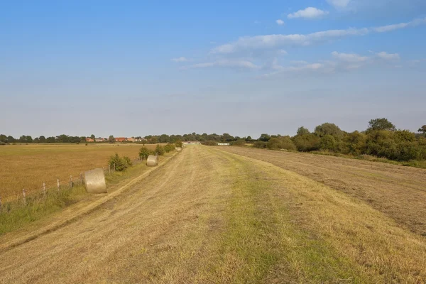 Agrarische landschap 3 — Stockfoto