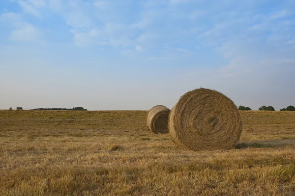Round hay bales — Stock Photo, Image