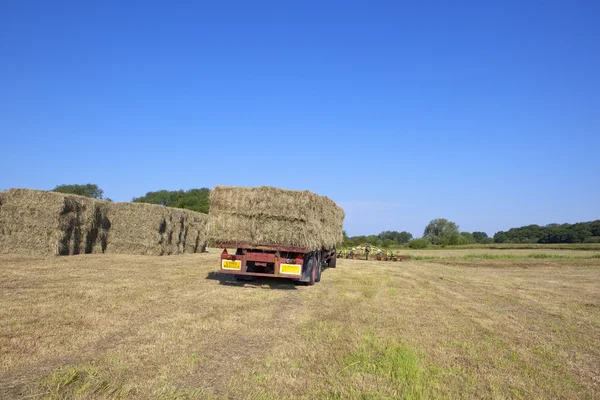 Haymaking time 2 — Stock Photo, Image