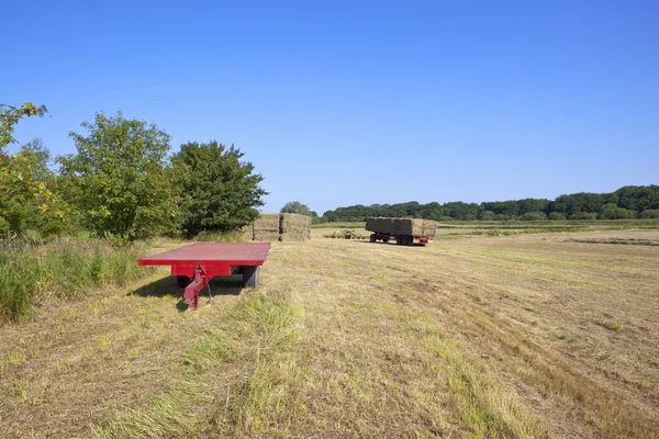 Haymaking time — Stock Photo, Image