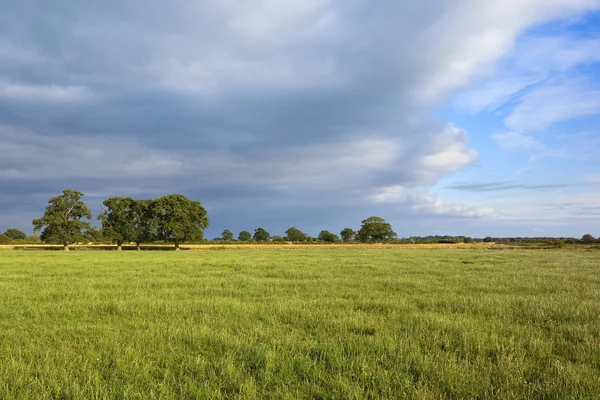 Английский луг с драматическим небом — стоковое фото