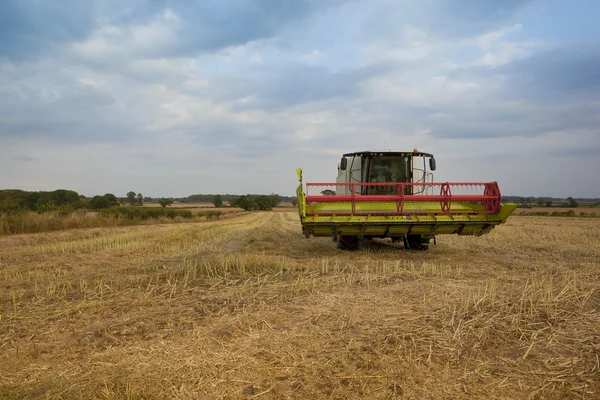 Landscape with harvester — Stock Photo, Image