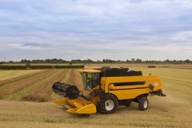 Harvesting canola clipart