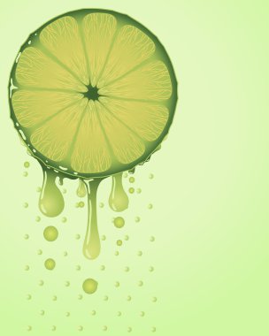 Lime slice clipart