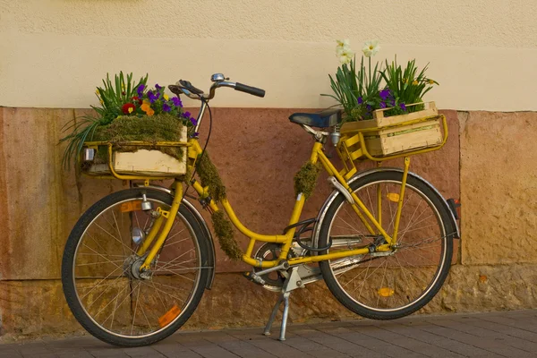 Цветы на жёлтом велосипеде — стоковое фото