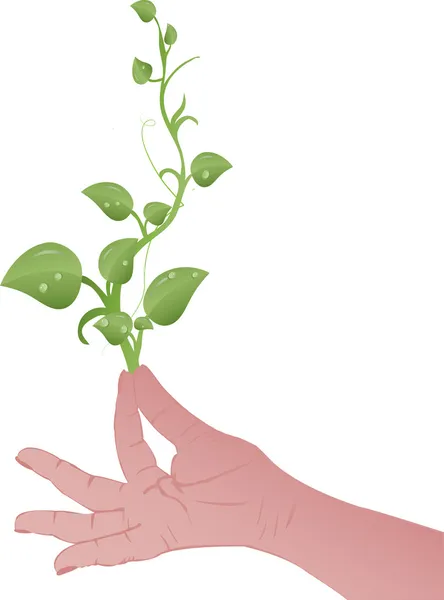 Vektor illustration gröna groddar på en kvinnlig hand — Stock vektor