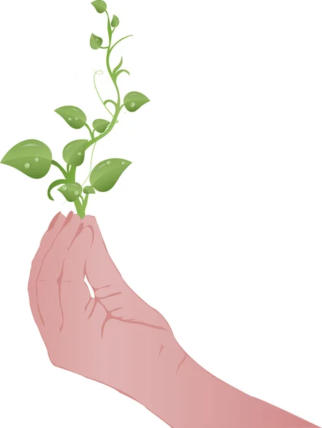 Ilustração de vetor um broto verde em uma mão de uma videira —  Vetores de Stock