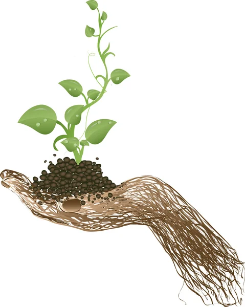 Vektor illustration en grön spira på en hand från en grapevine — Stock vektor