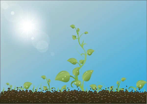 Green sprouts against the earth, the sky and the sun — Stock Vector