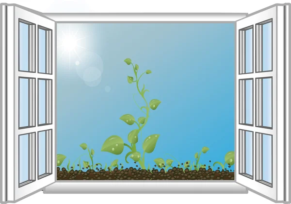 Vektoros illusztráció zöld hajtások egy megnyitott ablakban — Stock Vector