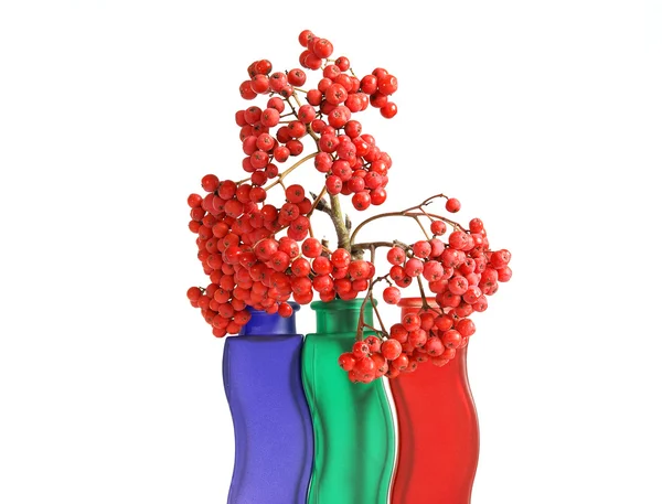 Stilleben med röd naturliga Rönn på vit bakgrund — Stockfoto