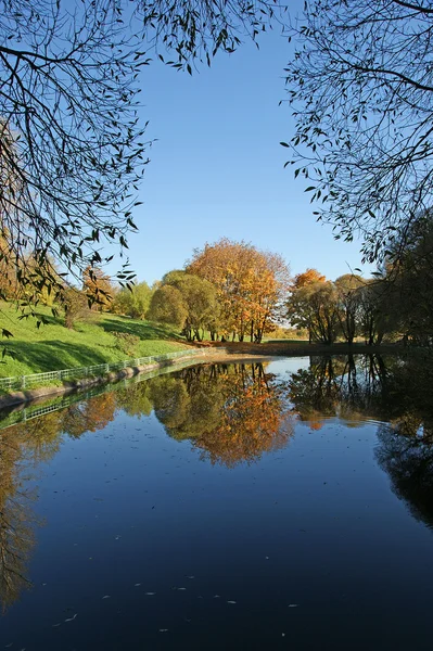 stock image Fall in the forest. Reflection of autumn trees in the pond