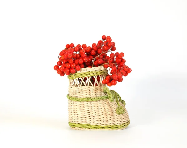 Натюрморт з червоною природною короною на білому тлі — стокове фото