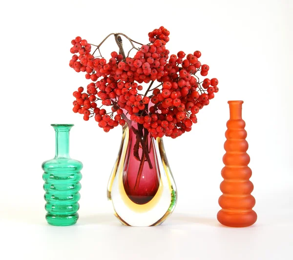 Still life with red natural rowan on a white background — Stock Photo, Image