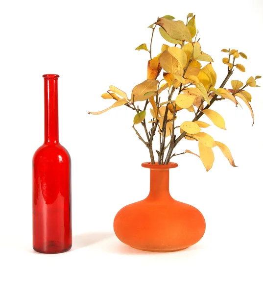 Ramo de otoño en un jarrón con vidrio de color sobre un fondo blanco —  Fotos de Stock